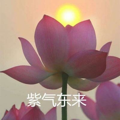 醉计三国手游正版下载
